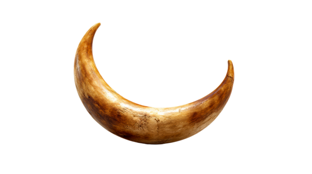 Curved Tusk, Horn Like Object, Isolated on Black, cut out transparent