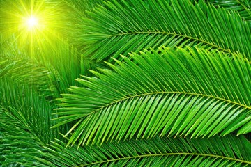Close-up of vibrant green palm fronds, with sunburst