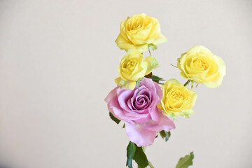 紫と黄色のばら