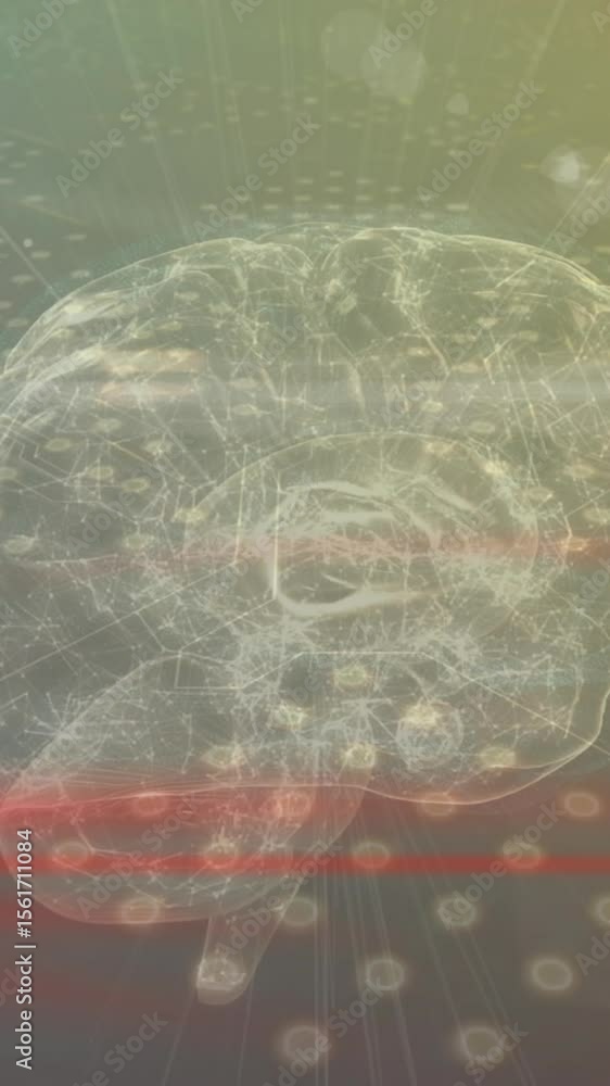Poster Animation of connections and data processing over brain