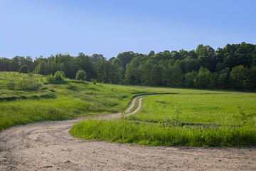 Long country road in a summer green field. A forest is visible in the distance. Beautiful blue sky. Spring landscape