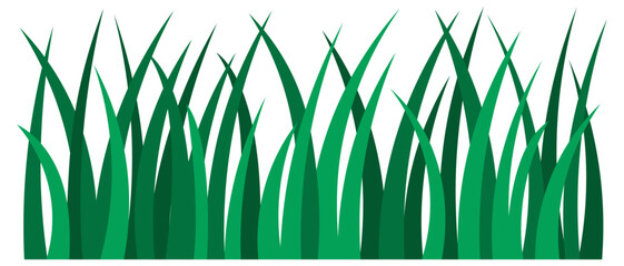 Grass. Stems tilted in different directions. Tall green weeds. Vector illustration. Isolated white background. Flat style. Vigorous vegetation. Web design idea.