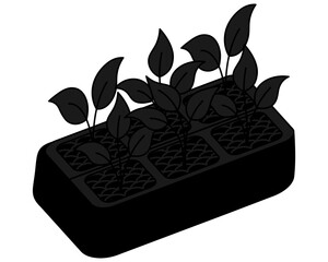 Seedlings sprouted in pots filled with soil. Sprouts with leaves. Silhouette. Vector illustration. Isolated white background. Seed sprouted into a plant. Rectangular containers. Six fused molds. 