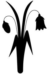 Bellflower flower and bud. Silhouette. Spring flowers, grass and big leaves. Vector illustration. Blooming plant. Isolated white background. Idea for web design, invitation, postcard.