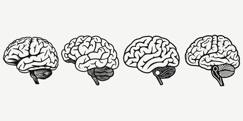 brain side view sketch illustration vector
