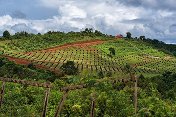 Saen Monourom Hill under a stormy sky