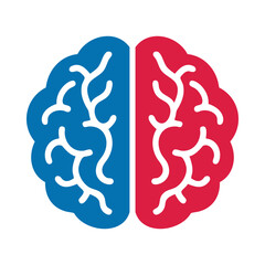 Blue Red Left Right Human Brain