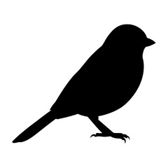 Bird standing vector art, a bird silhouette, a black cute bird icon silhouette, a vector of a bird isolated