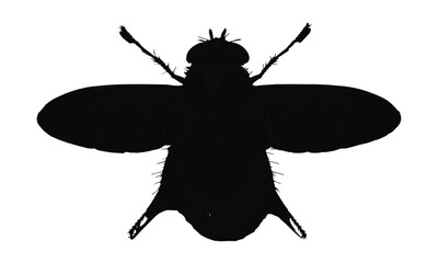 Fototapeta premium Vector illustration of a flying insect silhouette, a cartoon butterfly design with elegant wings.