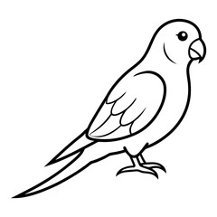 Obraz premium Bird outline vector art, a cute bird silhouette, a black bird icon silhouette, isolated