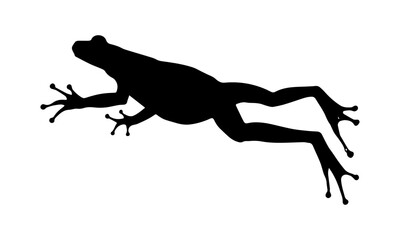 Obraz premium Black vector silhouette illustration of a wild horse.