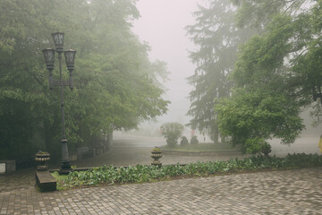 The park's alley is in fog. A mysterious blurred image defocuses the image of trees with green leaves.