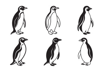 Obraz premium Penguin Silhouette, Penguin Vector Set