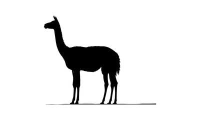 Fototapeta premium Cartoon giraffe vector illustration standing amidst wild nature with a long tail