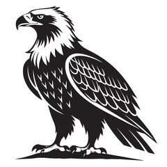 
Proud Eagle Silhouette Vector Art
