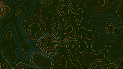 Topographic line contour map background, geographic grid map image. Topographic line contour map background, geographic grid map. Vector illustration 
