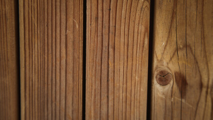 Obraz premium background textures and layers, nature background, macro photography