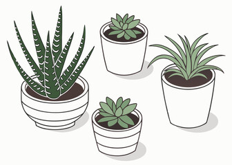 Obraz premium Collection of potted succulent plants in white pots, indoor gardening concept vector illustration