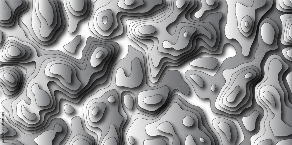 Poster topographic map. geographic mountain relief. abstract lines background. abstract topographic map. ve