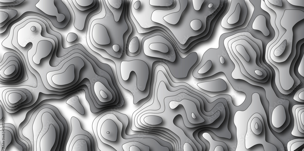 Poster topographic map. geographic mountain relief. abstract lines background. abstract topographic map. ve