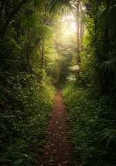 Obraz premium Sunlit Path Through Lush Green Forest