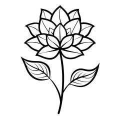 gilliflower -line art vector on-white-background
