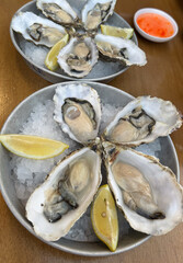 Seafood composition featuring fresh oysters and lemon wedges. Perfect for concepts of fine dining, healthy eating, and coastal cuisine visuals.>>