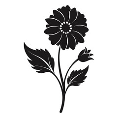 gilliflower silhouette on white background