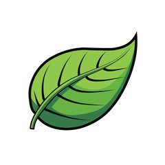 Illustration Vector Graphic Cartoon of a Simple Green Leaf