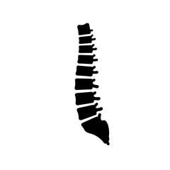 Spine Silhouette: A stark and elegant silhouette of the human spine, a symbol of health, strength, and the body's intricate framework.