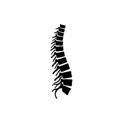 Anatomical Spine: A striking silhouette of the human spine, showcasing the intricate structure and strength of the spinal column in a stark, minimalist design.