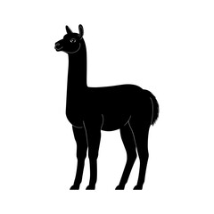 Alpaca Vector Silhoette