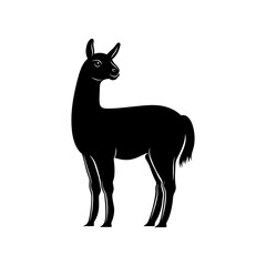 Alpaca Vector Silhoette