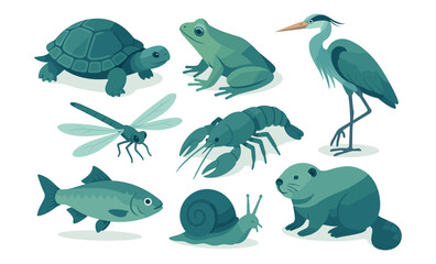 Set of freshwater wetland animals including turtle, frog, heron, dragonfly, crayfish, beaver, snail, and fish. Stylized vector illustration of aquatic and amphibious wildlife