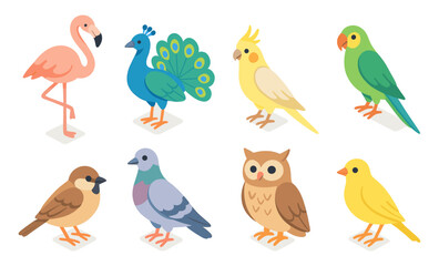 Set of cartoon birds including flamingo, peacock, cockatiel, parrot, sparrow, pigeon, owl, and canary. Flat isometric vector illustration of colorful birds