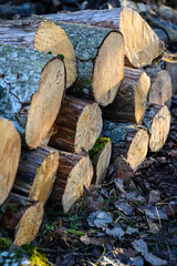stack of firewood