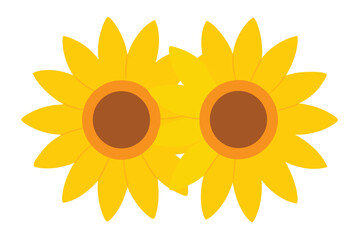 Bright yellow sunflowers radiating outwards on a clean background advertisement
