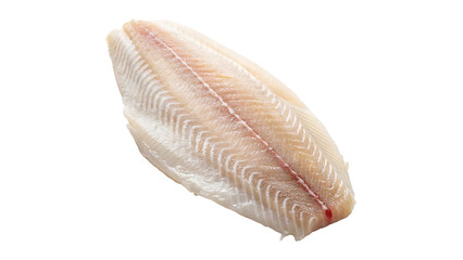 fresh raw pangasius fish fillet isolated on a transparent background