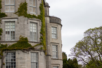 Old country manor house with ivy climbing up the outside