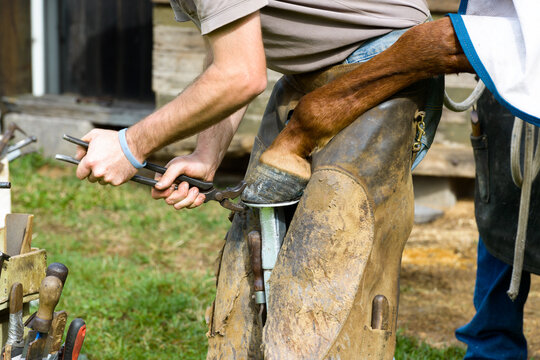 Close up of farrier removing a horseshoe