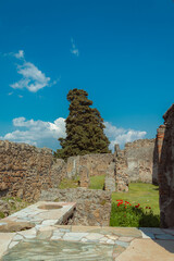 A photo of the remains of Pompeii 