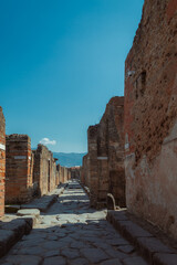A photo of the remains of Pompeii 