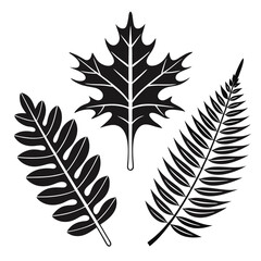 Fototapeta premium Leaf Silhouettes of Oak and Fern Plants