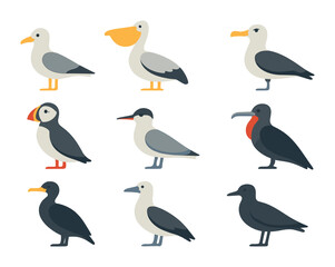 Fototapeta premium Sea Bird Icons. Flat icon set of sea bird species: seagull, pelican, albatross, puffin, tern, frigatebird,