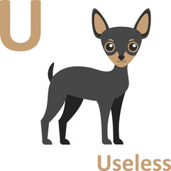 Adult alphabet, joke, letter U, useless
