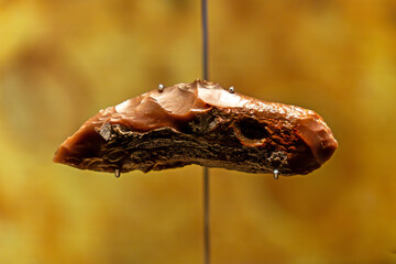 sharp stone tool of primitive man in museum