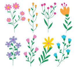 Flowers crayon hand drawing vector