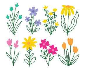 Flowers crayon hand drawing vector