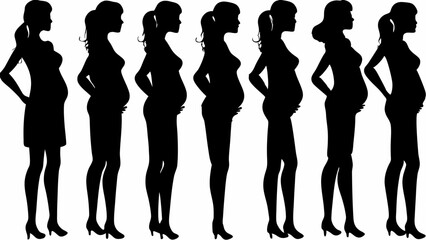 Silhouette progression showing stages of pregnancy in seven women with varying belly sizes