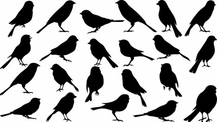 Silhouette illustration displaying a multitude of birds in various poses and orientations